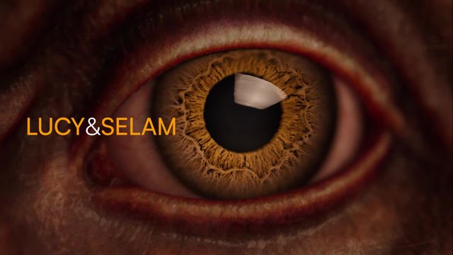Lucy and Selam: The Beginnings of the Human Story